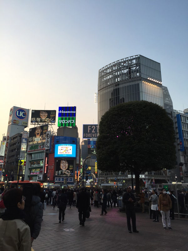 2015 일본 드럭스토어박람회